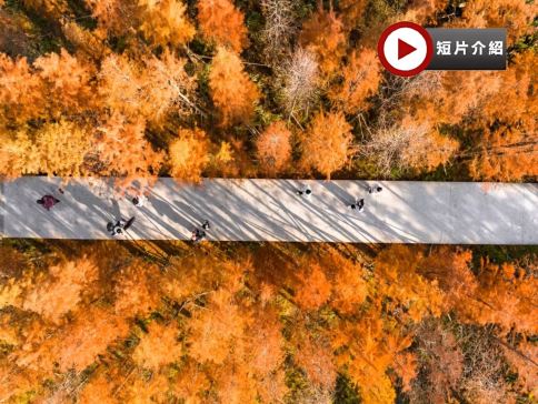 江西6天團·🍁秋色江西‧蟹逅仙境🍁九江、婺源、上饒、景德鎮、南昌6天純玩高鐵團 【賞秋勝景:婺源石城、篁嶺、鳳凰溝、廬山、魚尾洲公園】、日夜雙遊望仙谷、靈山(雲頂天梯)、弦高古城·西湖氹、景德鎮陶瓷DIY 江西6天團·🍁秋色江西‧蟹逅仙境🍁九江、婺源、上饒、景德鎮、南昌6天純玩高鐵團 【賞秋勝景:婺源石城、篁嶺、鳳凰溝、廬山、魚尾洲公園】、日夜雙遊望仙谷、靈山(雲頂天梯)、弦高古城·西湖氹、景德鎮陶瓷DIY