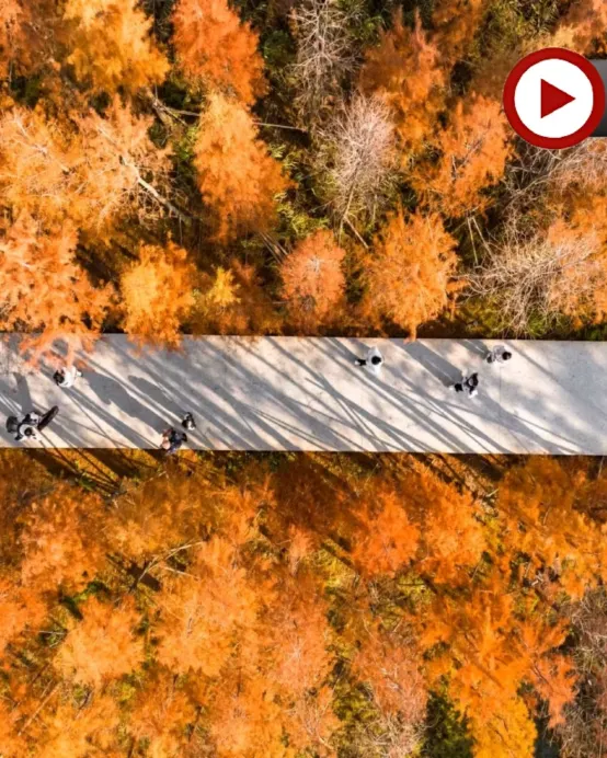 🍁秋色江西‧蟹逅仙境🍁九江、婺源、上饒、景德鎮、南昌6天純玩高鐵團 【賞秋勝景:婺源石城、篁嶺、鳳凰溝、廬山、魚尾洲公園】、日夜雙遊望仙谷、靈山(雲頂天梯)、弦高古城·西湖氹、景德鎮陶瓷DIY