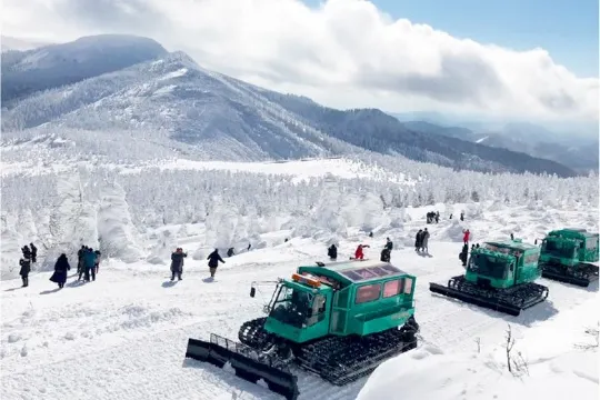 Wild Monster雪怪車