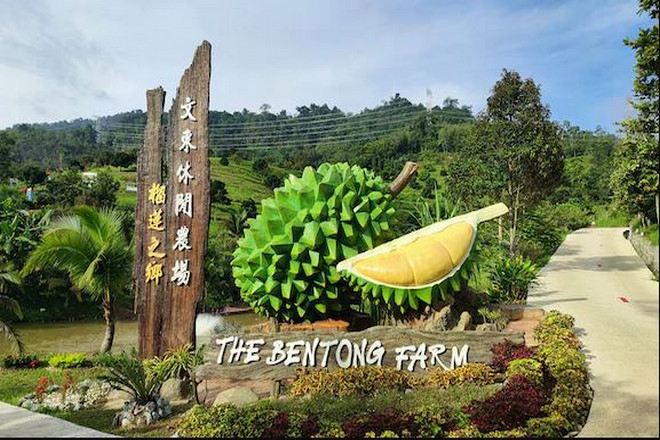 到訪文冬休閒農場