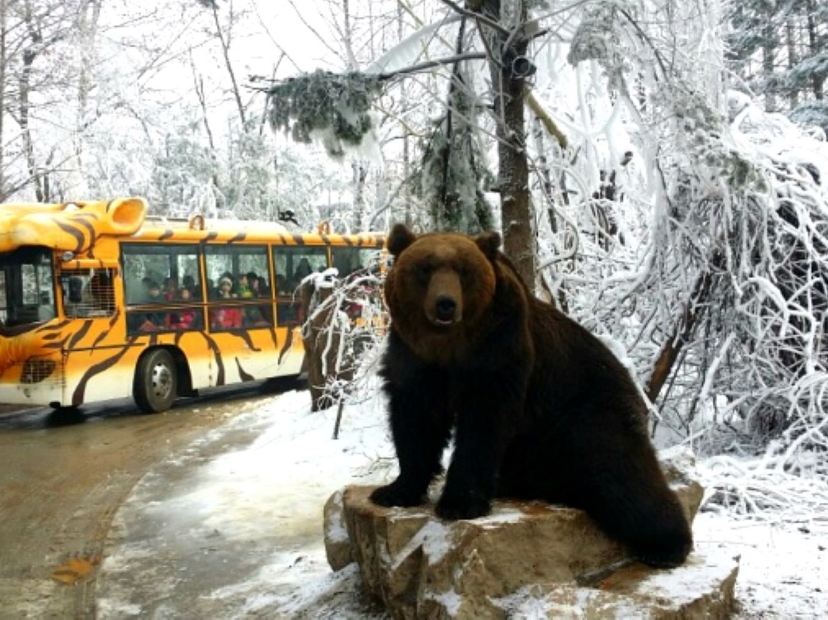 愛寶樂園Everland