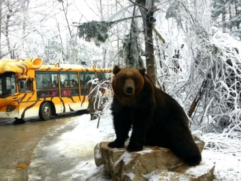 愛寶樂園Everland