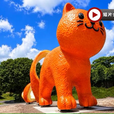 濟州 6天韓遊之旅  ※史努比庭園Snoopy Garden、Dolcori Forest貓咪主題樂園、Camellia Hill山茶花之丘、涯月海邊BOMNAL Cafe、海女博物館、城山日出峰