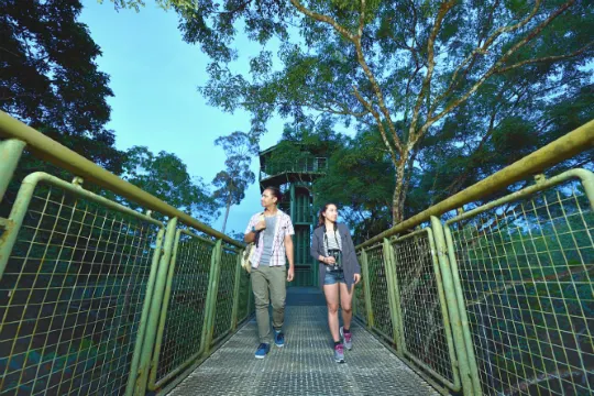 山打根_熱帶雨林探索中心