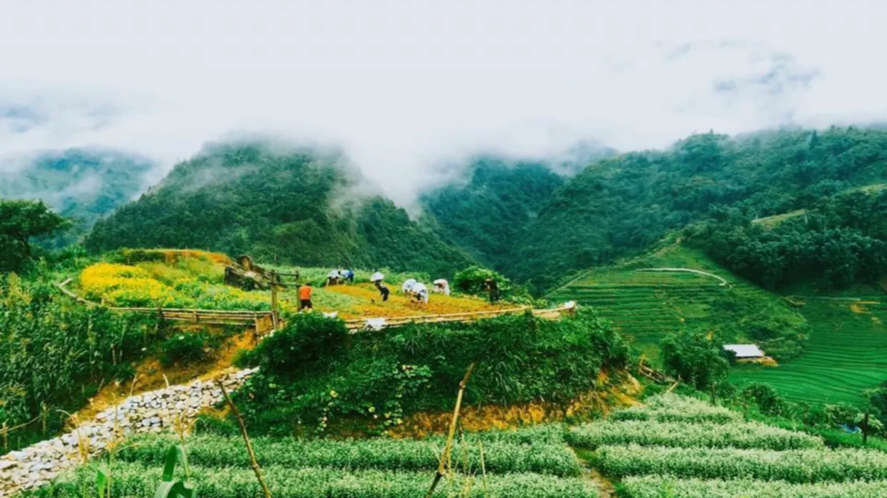 少數民族村寨Cat Cat Village