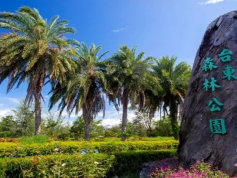 「台東黑森林」台東森林公園