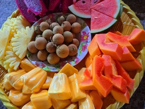 泰山島(熱帶果園)