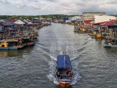 紅樹林生態保護區之旅