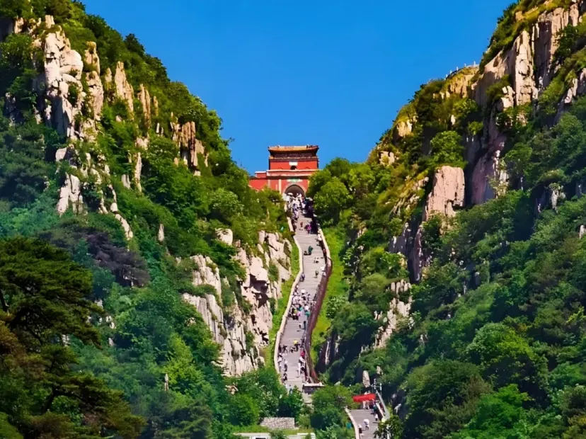 泰山