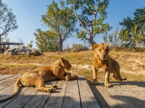 清遠長隆國際旅遊度假區