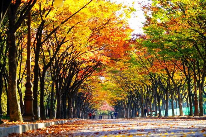 仁川大公園 11月