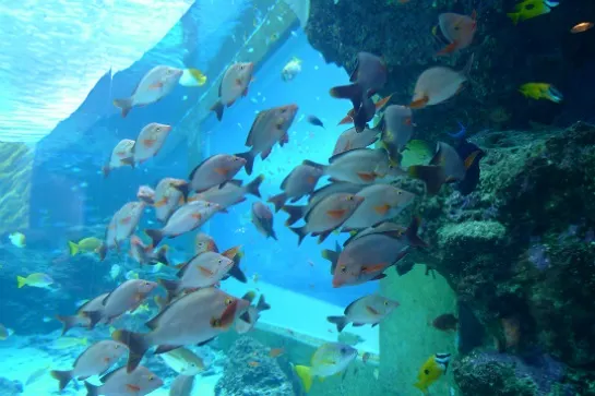 海洋博公園