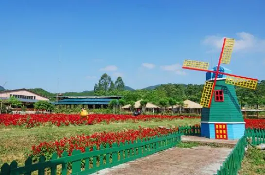 高明盈香生態園