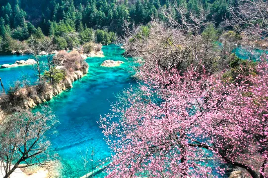 九寨溝春天美景