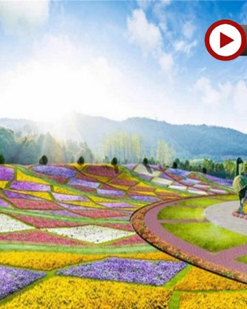 🌸江南純玩 南京、揚州春日饗宴賞花4天團  漫遊十大特色花園~花谷奇緣、佛教名山~牛首山賞櫻花、中國四大梅園之首~梅花山、百花爭豔~瘦西湖、東方鹽湖城(漢服體驗)、夫子廟秦淮風光帶(品秦淮八絕小吃)