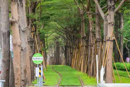 龍猫隧道~美術館