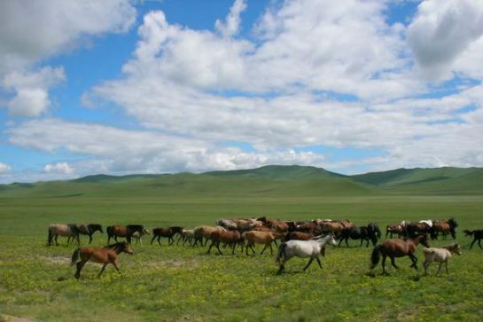 希拉穆仁大草原