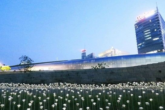 東大門設計廣場(限定LED玫瑰花海)
