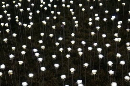 東大門設計廣場(限定LED玫瑰花海)