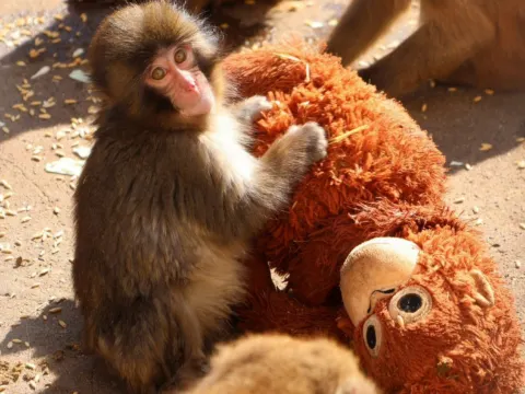 市川市動植物園