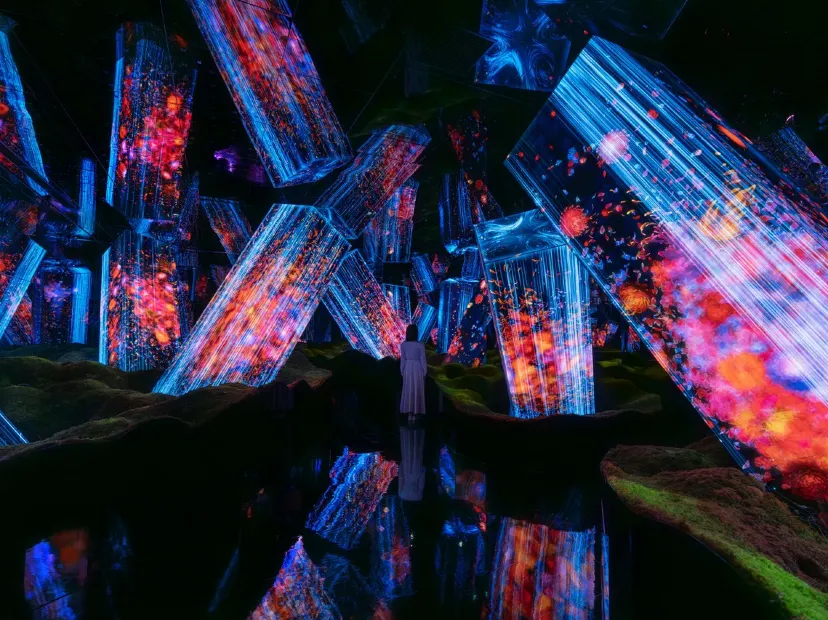 TeamLab Biovortex Kyoto 