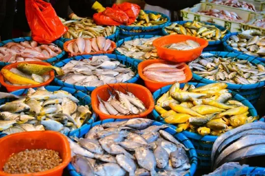 五星酒店大廚帶您八市海鮮市場趴趴走