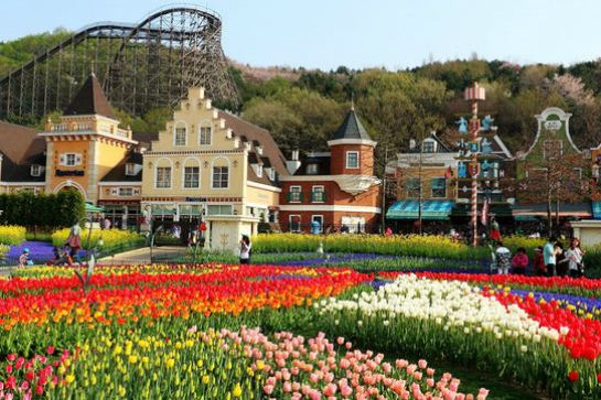 EVERLAND鬱金香慶典