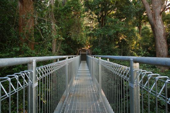 依拉瓦拉樹頂漫步之旅