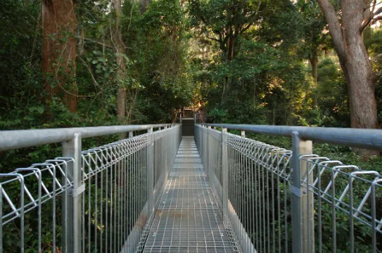 依拉瓦拉樹頂漫步之旅