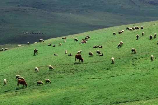大海草山風景區