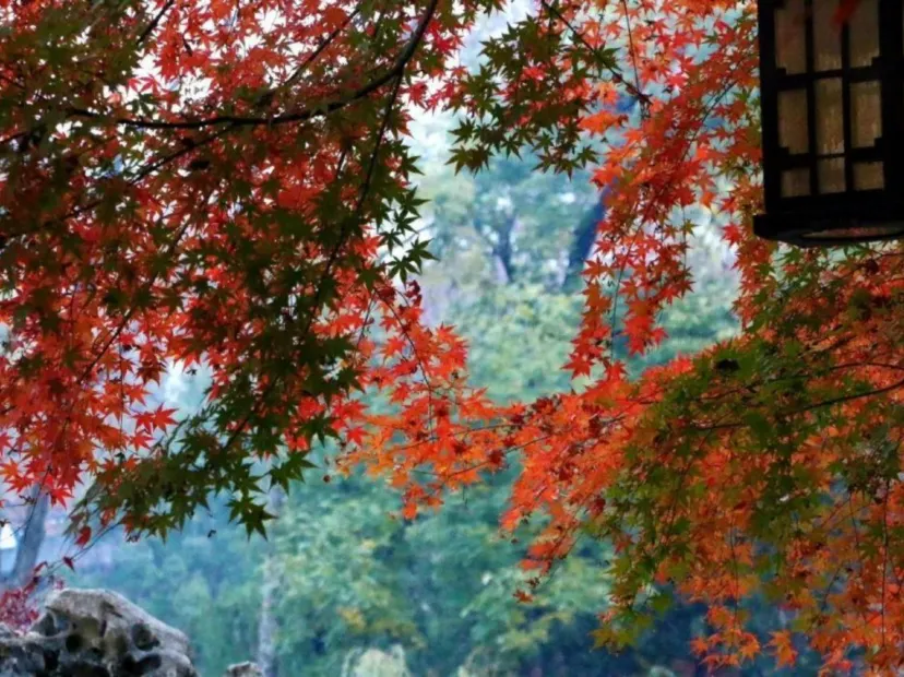 棲霞山
