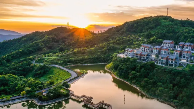雲浮「象窩山」