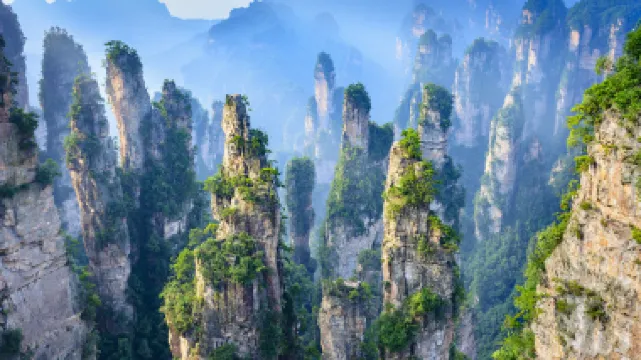 張家界、鳳凰古城5天高鐵團  張家界(VIP快捷通道遊覽天子山景區+袁家界景區、贈送無人機航拍短片、天門山國家森林公園、金鞭溪、七十二奇樓、DIY砂石畫)、鳳凰古城 [保證廣東話導遊]