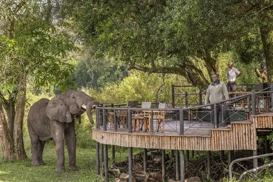 Main Governor's Camp