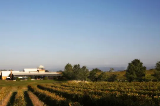 雅拉河谷Rochford酒莊