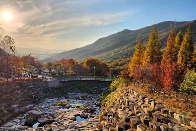 慶州+釜山6天秋色之旅  ※「UNESCO世界文化遺產」慶州歷史遺址區~大陵苑~東宮與月池~月精橋、普門觀光園地、金剛公園+纜車、海雲台遊船體驗、龍頭山公園、東萊邑城址、大渚生態公園、東萊溫泉+汗蒸幕