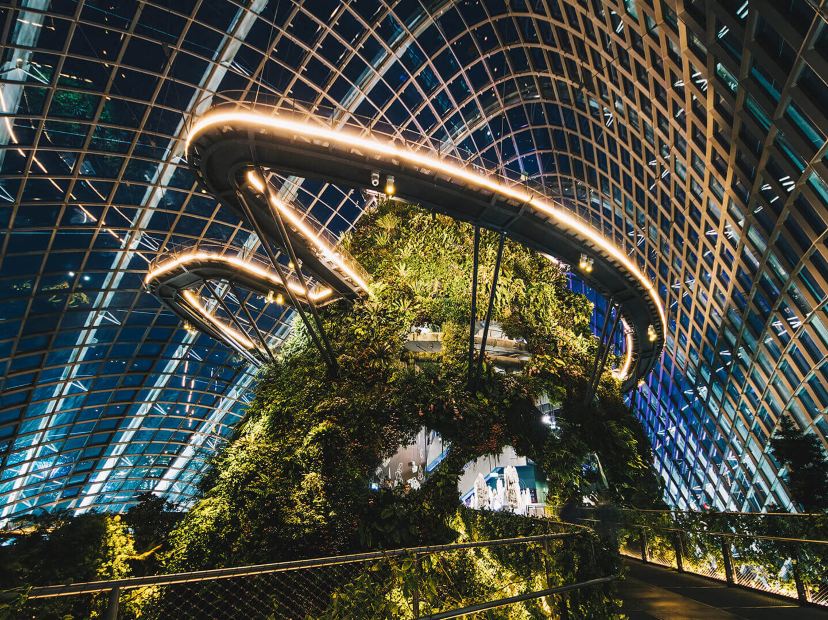 Gardens by the Bay濱海灣花園~ Cloud Forest