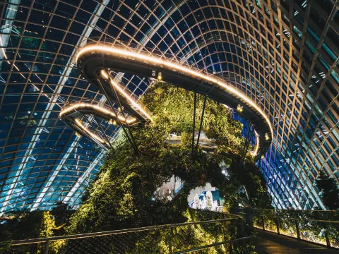 Gardens by the Bay濱海灣花園~ Cloud Forest