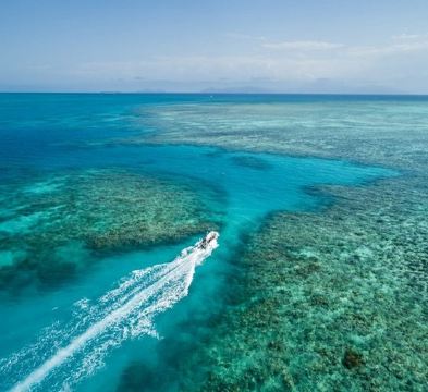 【5鑽】國泰航空直航~澳洲開恩茲探索世界遺產奇觀 ~ 昆士蘭大堡礁6天夏日之旅 【稅項全包】全程入住5星級酒店5晚/乘坐高速遊船暢玩大堡礁/包乘庫蘭達觀光火車及熱帶雨林纜車/戴恩樹雨林探索之旅