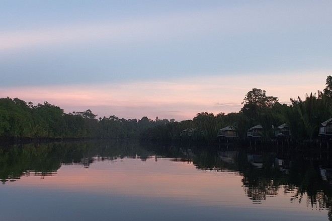 乘船夜觀螢火蟲