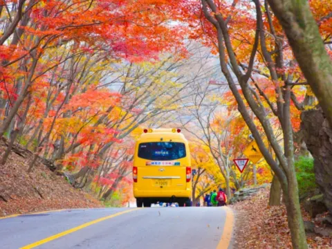 內藏山國立公園+內藏寺 來回Shuttle Bus