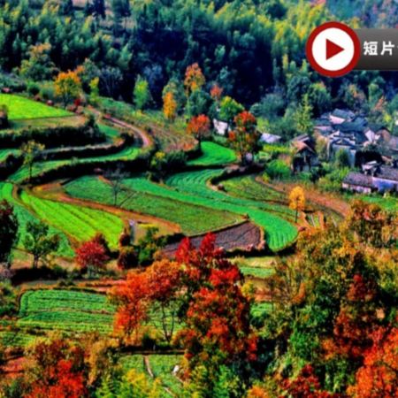 黃山(天下第一奇山)5天純玩高鐵團 《世界自然及文化雙遺產》黃山(北海、西海景區)、屯溪黎陽IN巷、宏村、塔川、蕪湖古城、鳩茲古鎮