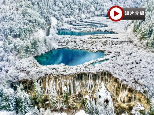 【5鑽】《九寨溝‧黃龍》四川皇牌8天深度之旅 九寨溝(童話世界)、黃龍*(瑤池仙境)、峨眉山(金頂)、樂山大佛(遊船)、成都大熊貓繁育研究基地、東方佛都、蘇稽古鎮、漫遊成都City Walk 【5鑽】《九寨溝‧黃龍》四川皇牌8天深度之旅 九寨溝(童話世界)、黃龍*(瑤池仙境)、峨眉山(金頂)、樂山大佛(遊船)、成都大熊貓繁育研究基地、東方佛都、蘇稽古鎮、漫遊成都City Walk