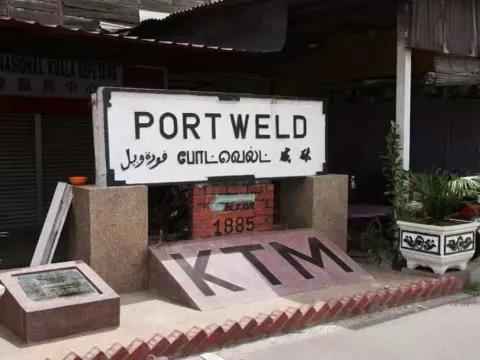 紅樹林生態保護區之旅