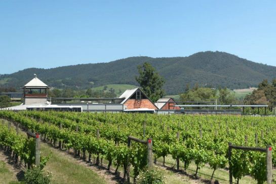 雅拉河谷Rochford酒莊