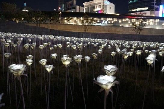 東大門設計廣場(限定LED玫瑰花海)