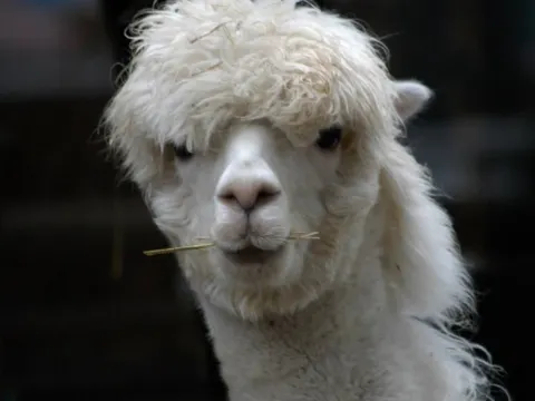 市川市動植物園