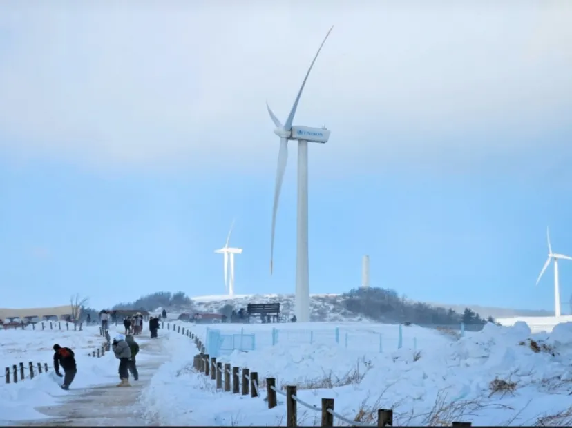 大關嶺天空牧場