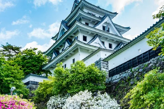 郡上八幡城@官網