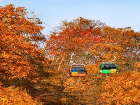 發旺山觀光纜車來回體驗~ Monapark Skywalk
